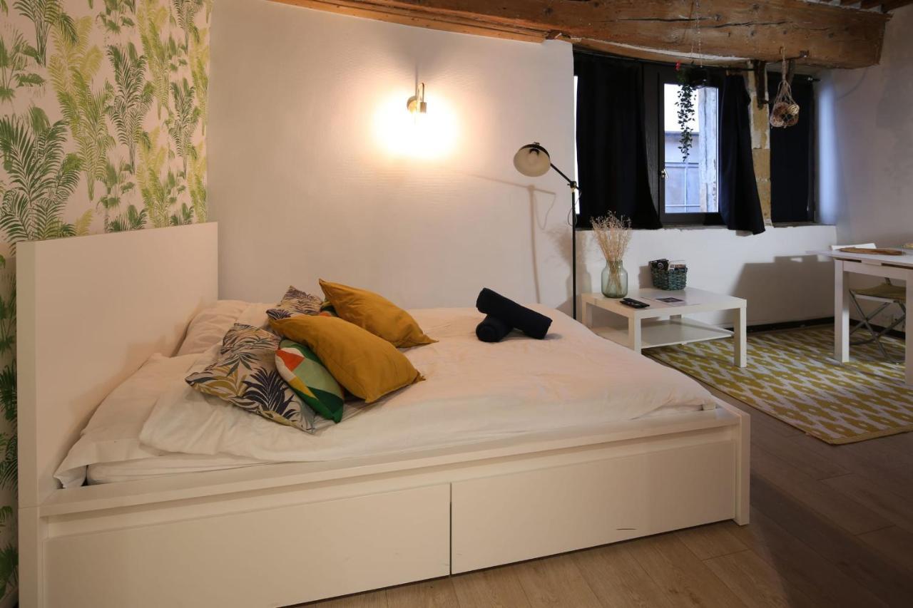 Charming Studio Centre Ville De Лион Екстериор снимка